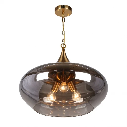 APL.601.16.03 Подвесная люстра Aployt Franko APL.601.16.03 (220V, на цепи, шар)