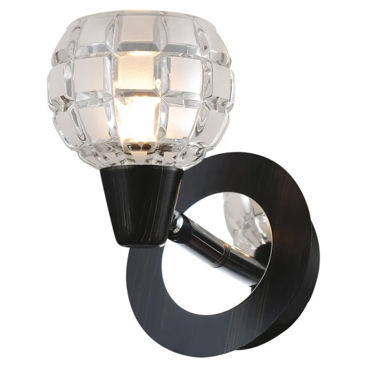 LSL-8601-01 Спот Lussole Silandro LSL-8601-01