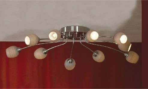 LSA-3077-10 Потолочная люстра Lussole Spilimbergo LSA-3077-10