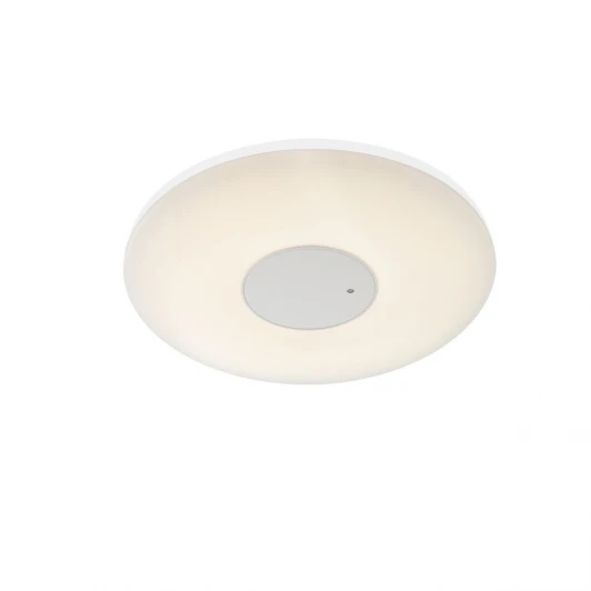 41324 Настенно-потолочный светильник Globo Felion 41324