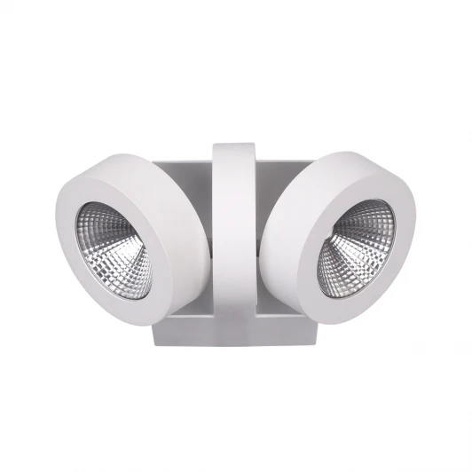 3538/2WA Спот Odeon Light Laconis 3538/2WA