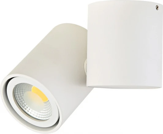 A1594White/RAL9003 Накладной светильник Donolux Eva A1594White/RAL9003 (220V, круглые)