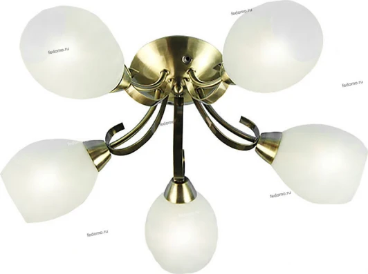 14-810-05C Snowlight 14-810 14-810-05C