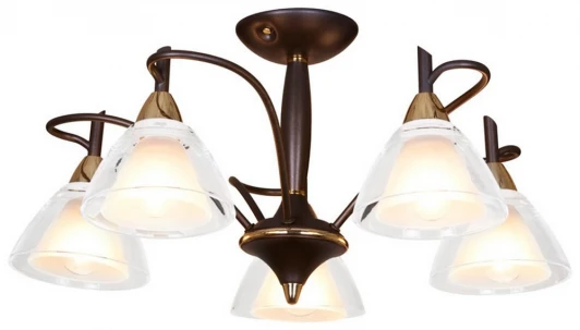 355-607-05 Потолочная люстра 355-607-05