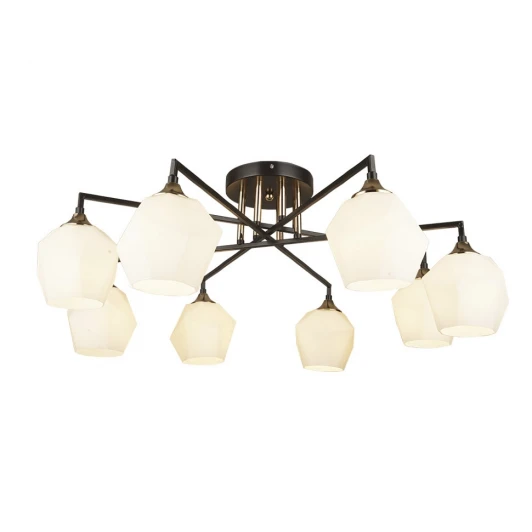 66586.01.15.08 Потолочная люстра Wedo Light Turin 66586.01.15.08