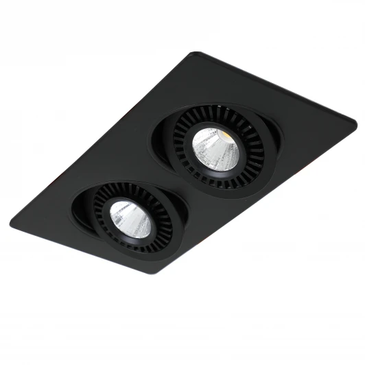 2416-2U Встраиваемый точечный светильник Favourite Cardine 2416-2U (LED, 220V)