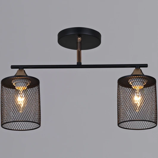 91360-0.3-02 BK+FG Потолочная люстра на штанге Reluce 91360-0.3-02 BK+FG