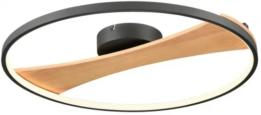 450-067-01 Потолочный светильник круглый Velante 450-067-01 (LED, 220V, круглые)