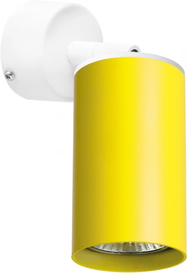 RB433 Спот Rullo RB433 (214433+590006) (220V)