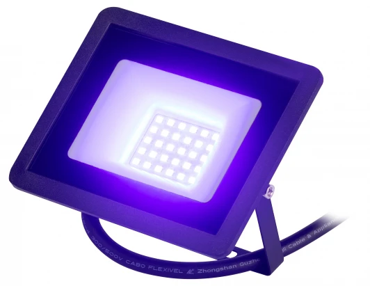 LPR-025-BLUE-030 Прожектор уличный светодиодный ЭРА LPR-02 LPR-025-BLUE-030