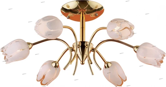 1815/6 Потолочная люстра Odeon Light Tulip 1815/6