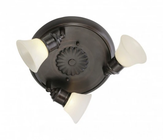 89061 Спот Eglo Alamo 89061