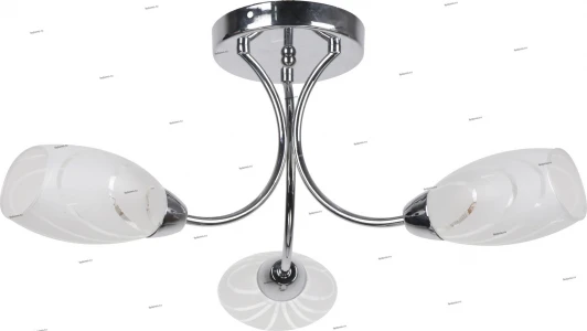 117/3PL Myone 117 117/3PL