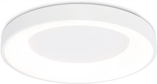 FZ1401 Потолочный светильник круглый светодиодный с пультом и регулировкой цветовой температуры Ambrella ORBITAL FZ1401 (220V, круглые)