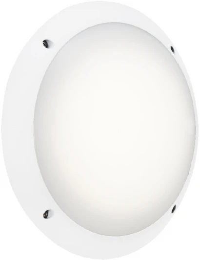 1R3.000.000.WYE27 Потолочный светильник уличный Fumagalli Lucia 1R3.000.000.WYE27 (220V, круглые, IP66)