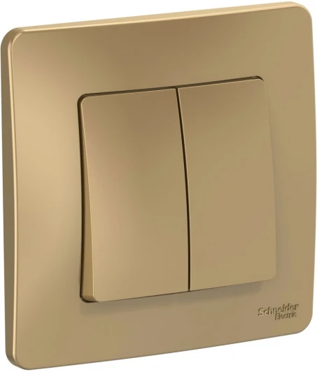 BLNVS010504 Выключатель встраиваемый двухклавишный (титан) Systeme Electric Blanca BLNVS010504
