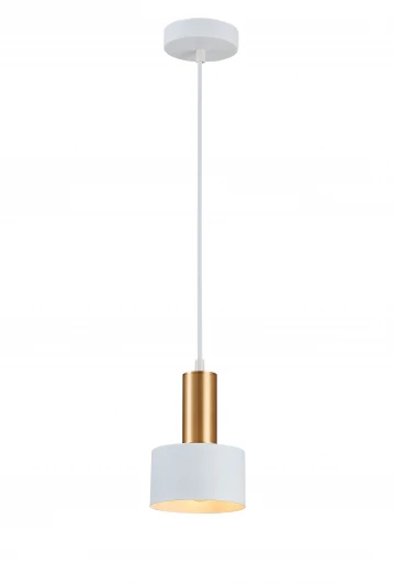 1069-1PL Подвесной светильник Simple Story 1069 1069-1PL