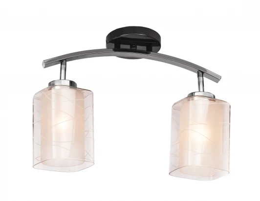 254.59.2 Потолочная люстра Silver Light Victoria 254.59.2