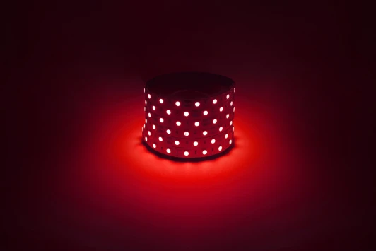 LS5050-14,4-60-12-R-IP20-1 year-5m Светодиодная лента 12V 5м красный ЭРА LS5050-14,4-60-12-R-IP20-1 year-5m