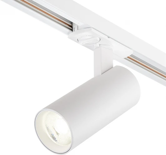 20002TRA/02LED SWH Трековый светильник однофазный Escada 20002 20002TRA/02LED SWH 15Вт, металл, белый матовый (220V, круглые)