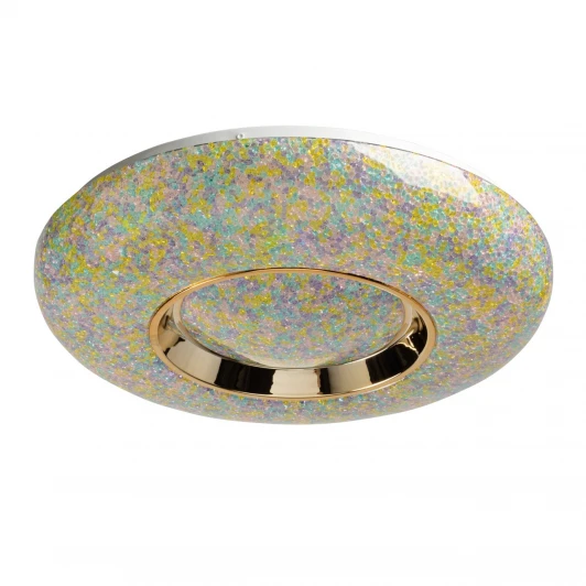 674018101 Потолочный светильник круглый с пультом светодиодный De City Ривз 674018101