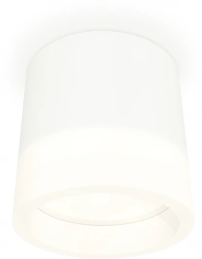 XS8110001 Накладной точечный светильник Ambrella Techno Spot XS8110001 (220V, круглые)