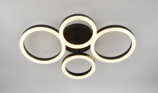 6191-201 Потолочная люстра светодиодная с пультом кольцо Rivoli Flora 6191-201 (регулировка яркости, 220V, кольцо)