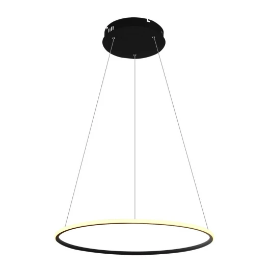 A2500SP-1BK Подвесной светильник Arte Lamp Rapid A2500SP-1BK