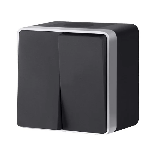 W5020234 Выключатель двухклавишный влагозащищенный Gallant Werkel W5020234 (черный с серебром)