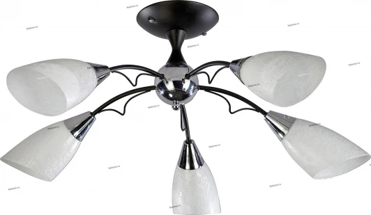 017/5PL Myone 017 017/5PL