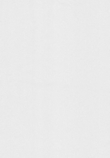 4055-12 Обои виниловые Erismann Violetta 4055-12 10,05 x 1,06 м