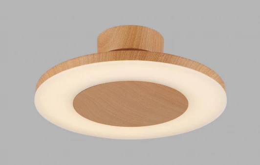 4495 Потолочный светильник Mantra Discobolo 4495