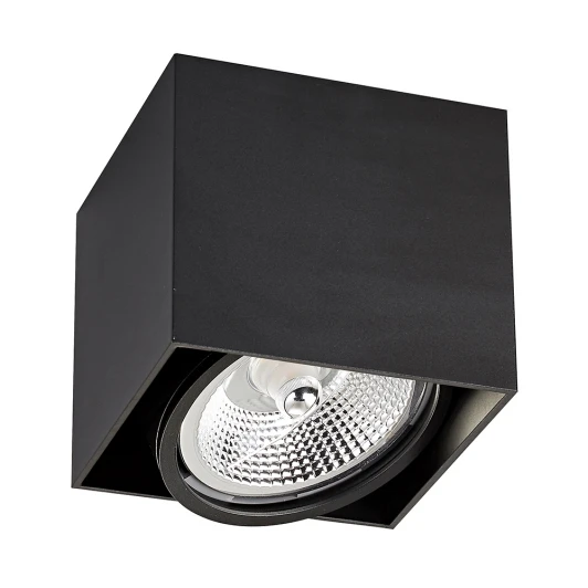 ACGU10-115 Накладной точечный светильник Zumaline Box 1 ACGU10-115