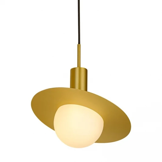 L29801 Подвесной светильник L'Arte Luce Pianeta L29801