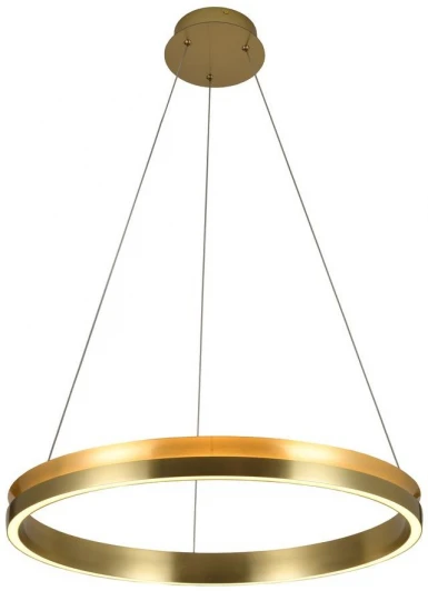 F3924-75 Подвесной светильник с гибким неоном Alfa Light F3924-75 (LED, 220V, на проводе, кольцо)