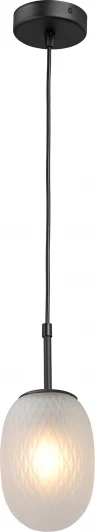 V28210-1/1S Подвесной светильник Vitaluce V28210-1/1S (220V, на проводе)