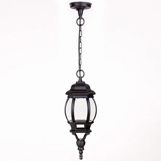 83405S Bl Уличный светильник подвесной Oasis Light 83405S Bl (220V, на цепи, IP44)