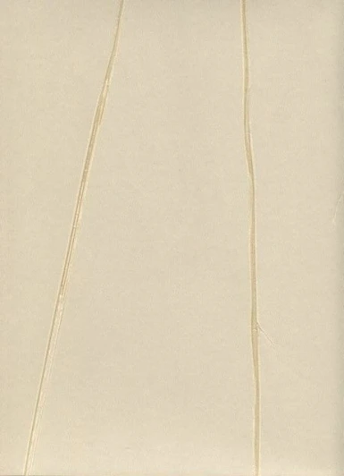 63342 Обои виниловые Marburg Crush Noble Walls 63342 10,05 x 0,75 м