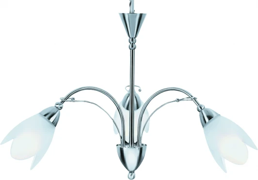 A4905LM-3SS Потолочная люстра Arte Lamp Petal A4905LM-3SS