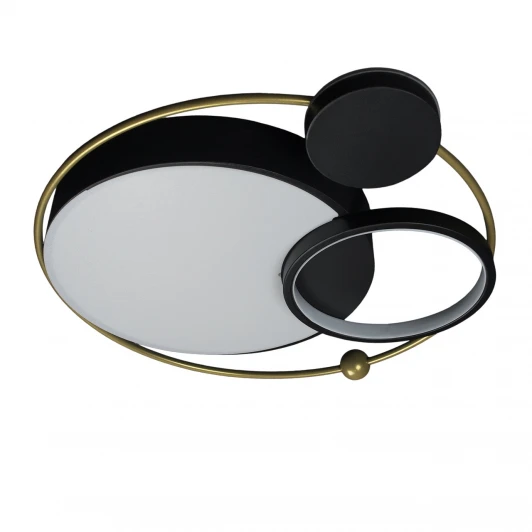 10064 Настенно-потолочный светильник Loft IT Mike 10064 (LED, 220V, круглые)