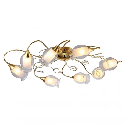 A9289PL-8GO Потолочная люстра Arte Lamp Mughetto A9289PL-8GO