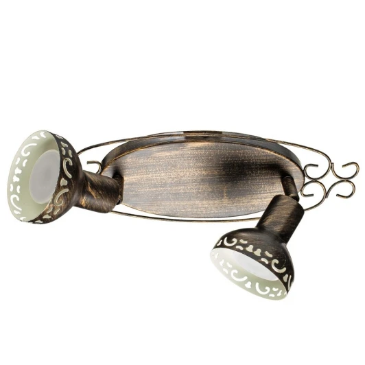 A5219AP-2BR Спот Arte Lamp Focus A5219AP-2BR