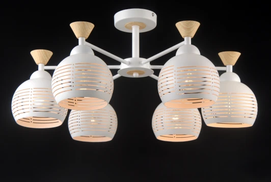 STUTTGART 81052-6C MATT WHITE Потолочная люстра Natali Kovaltseva Stuttgart 81052-6C MATT WHITE