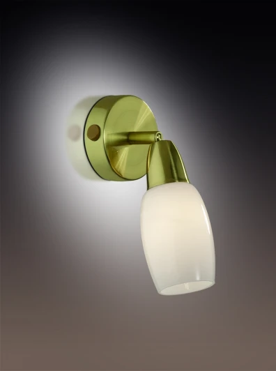 2067/1W Спот Odeon Light Otta 2067/1W