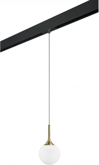 PRO813013 Трековый светильник однофазный 220V Lightstar Globo PRO813013 (шар)