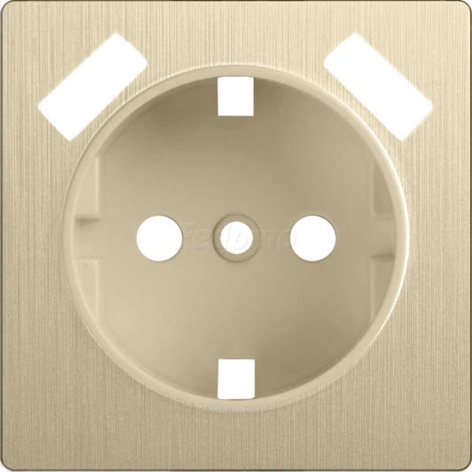 WL10-USB-CP Накладка для встраиваемой розетки с заземлением и двумя USB Werkel, шампань