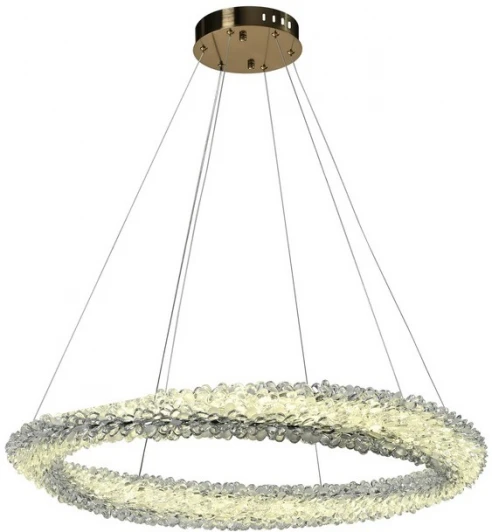 APL.853.03.88 Подвесной светильник Aployt Marcelina APL.853.03.88 (LED, 220V, на тросе, кольцо)