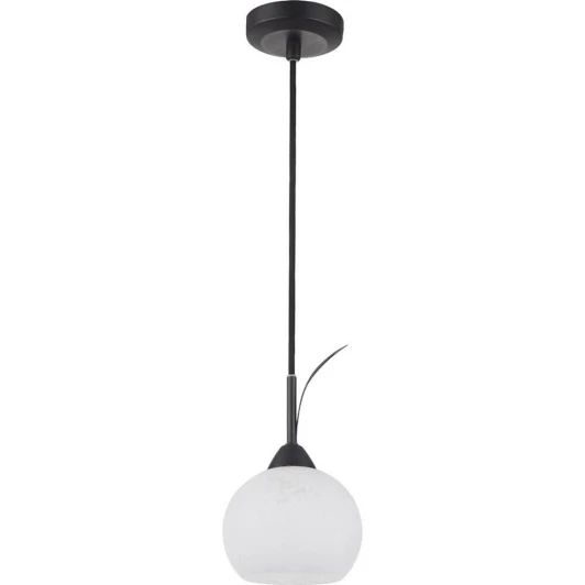 GRLSF-6296-01 Подвесной светильник Lussole Loft Bagheria GRLSF-6296-01
