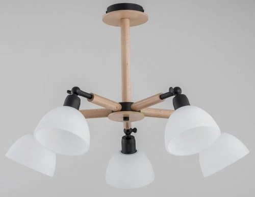 27005 Потолочная люстра Alfa Bushwick 27005