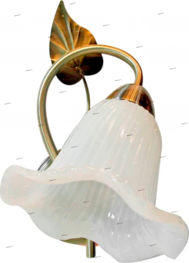 023/1A Myone 023 023/1A